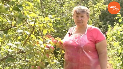 Садовые истории: Сидераты