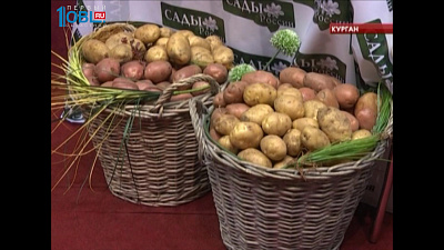 На международной выставке "Экопродукты Урала" южноуральские аграрии выиграли 81 медаль