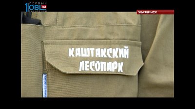 В Каштакском бору появилась специальная бригада по благоустройству