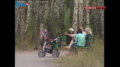 Жители северо-запада представили проект по превращению березовой рощи в экопарк