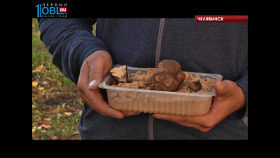 Нашедший "трюфель" челябинец хотел продать его в ресторан