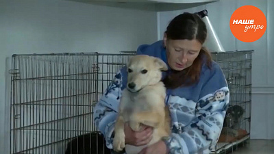 собака Кукла