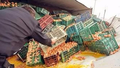 У гружёной яйцами фуры отказали тормоза 