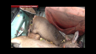 Происшествия дня 26.09.2016