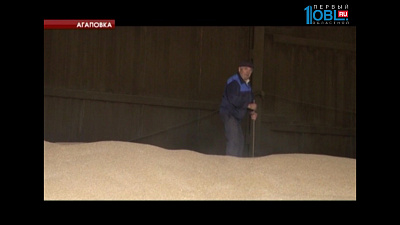 Аграрии не сдают зерно на элеваторы из-за низких закупочных цен