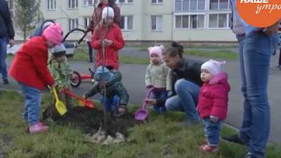 Озеленение Чурилово