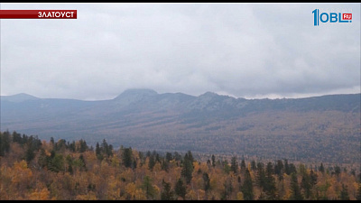 Происшествия дня 03.10.2016