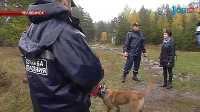 Селфи-эксперимент: как не заблудиться в лесу 