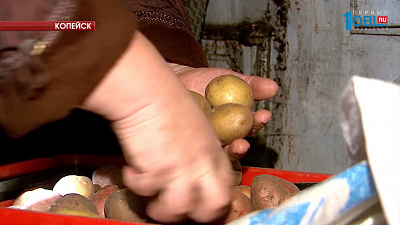 Жители Старокамышинска потеряли урожай из-за порыва водопровода 