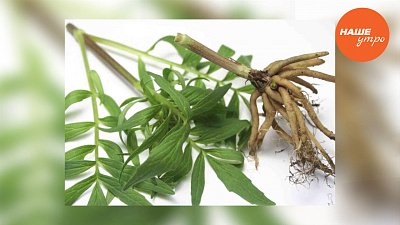 Секреты стройной фигуры.