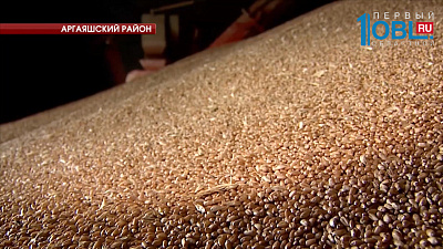 Южноуральское зерно начнут экспортировать в Китай