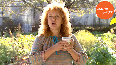 Как правильно заваривать лекарственные травы