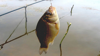 Рыбак на надувных санях проплыл половину озера по ледяной воде