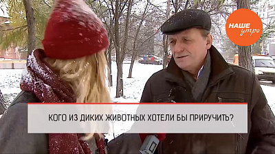 Кого из диких животных вы бы хотели приручить