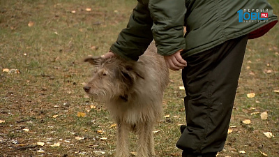 уютный дом 22.10.2016