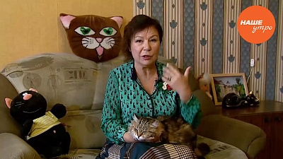 Обратите внимание, что может подстерегать кошку в доме