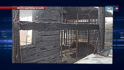 Медведь получил серьезные ожиги при пожаре в частном доме