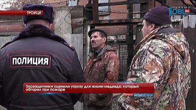 Зоозащитники оценили угрозу для жизни медведя, который обгорел при пожаре