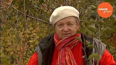 Переживут ли саженцы холодную зиму?