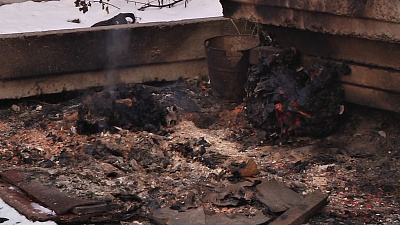 Живодёры заживо сожгли собак в Челябинске