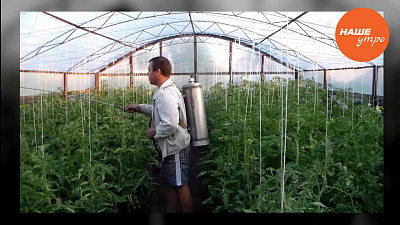 Готовим теплицу к зиме