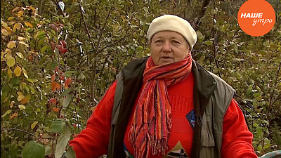 Капустный салат на вашем подоконнике