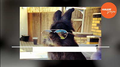 Самое интересное на просторах интернета за 8 ноября