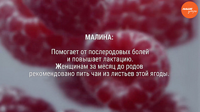 Листья малины