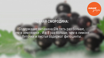 Черная смородина