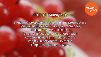 Красная смородина