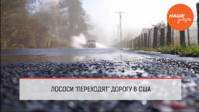 Обзор интернета за 16 ноября