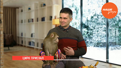 Цирк приехал