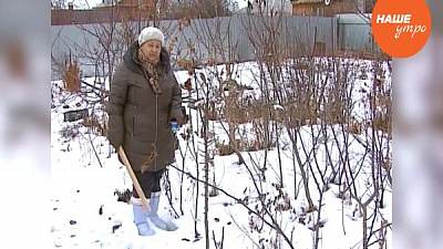 Cоветы от Надежны Черненко 