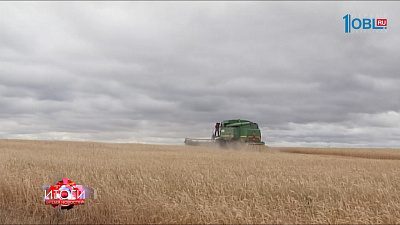 В Поднебесной будут печь хлеб из южноуральской пшеницы!