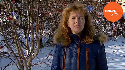 Рябиновые бусы