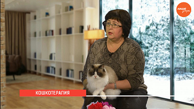 Кошки лечат людей