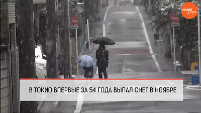 Обзор интернета за 28 ноября