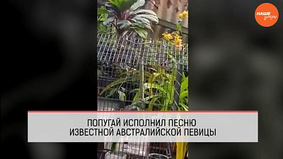 Обзор интернета за 2 декабря