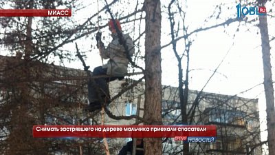Снимать застрявшего на дереве мальчика приехали спасатели