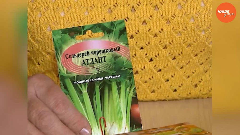 Садовые истории – советы от садовода-опытника Светланы Мартыновой