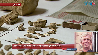 Краевед Владимир Юрин о продаже зуба мамонта