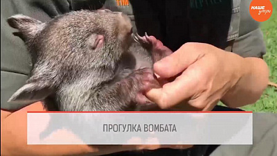 Обзор интернета за 6 декабря