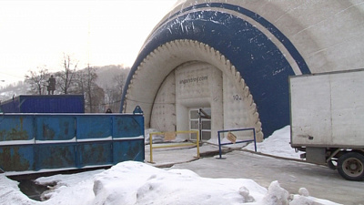 Игривые дельфины порвали бассейн и затопили улицу