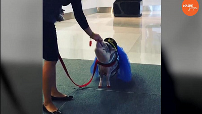 Обзор интернета за 9 декабря