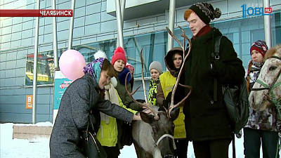  В Челябинске состоялась ярмарка благотворительных организаций