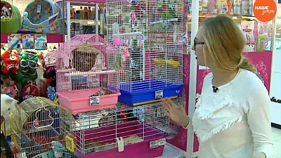 Готовы ли вы взять ипотеку