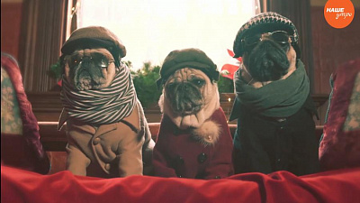 Обзор интернета за 13 декабря