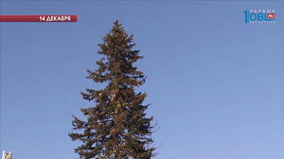 Елка на главной площади похорошела