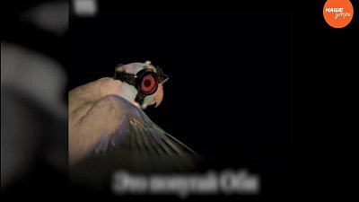 Обзор интернета за 15 декабря