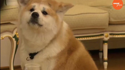 Обзор интернета за 16 декабря